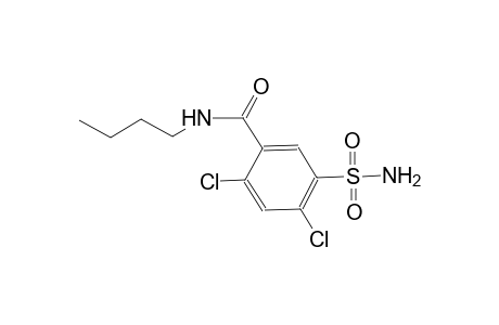 5-(aminosulfonyl)-N-butyl-2,4-dichlorobenzamide