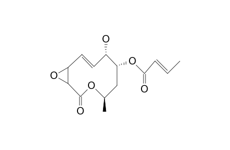 MULTIPLOLIDE-B