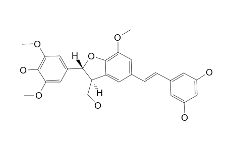 GNETUCLEISTOL-F