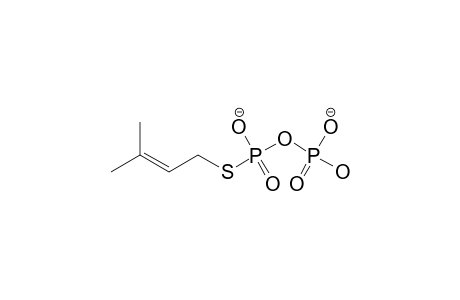 DMASPP;(S)-3-METHYL-2-BUTEN-1-YL-THIODIPHOSPHATE