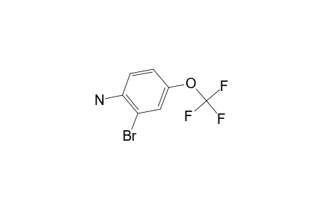 2-Bromo-4-(trifluoromethoxy)aniline