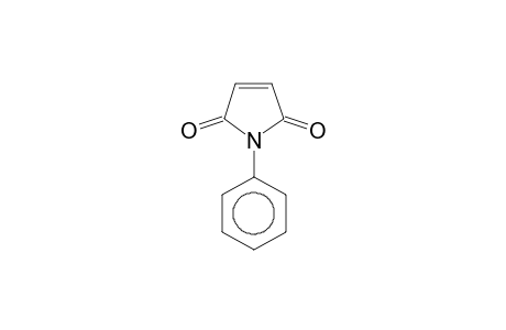 N-phenylmaleimide