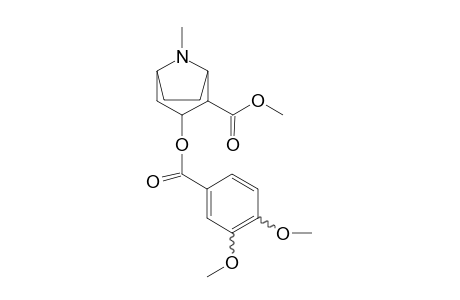 Cocaine-M (HO-methoxy-) ME