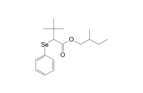 3,3-Dimethyl-2-(phenylselenyl)butanoic acid, 2-methylbutyl ester