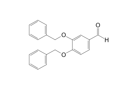 3,4-Dibenzyloxybenzaldehyde