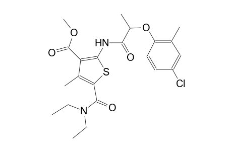 methyl 2-{[2-(4-chloro-2-methylphenoxy)propanoyl]amino}-5-[(diethylamino)carbonyl]-4-methyl-3-thiophenecarboxylate