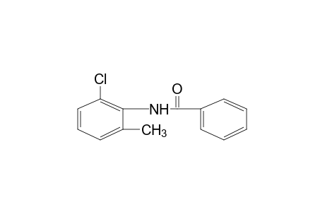 6'-chloro-o-benzotoluidide