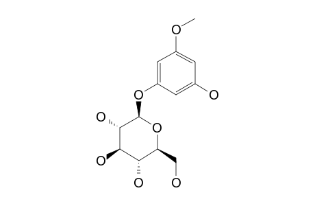 PICRAQUASSIOSIDE-D;PHLOROGLUCINOL-BETA-D-GLUCOPYRANOSIDE;METHYLPHLORIN