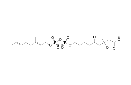 P'-GERANYL-3,5,7-TRIHYDROXY-3-METHYL-NONANATE-7-DIPHOSPHATE