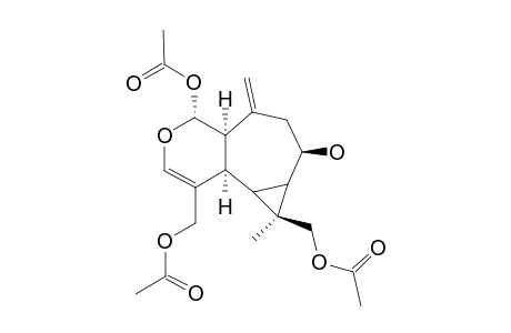 PLAGIOCHILINE-O