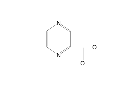 5-Methylpyrazine-2-carboxylic acid