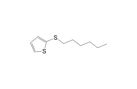 Thiophene, 2-(hexylthio)-