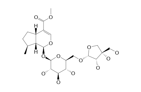 WILLIAMSOSIDE-A;6'-APIOSYLDEOXY-LOGANIN