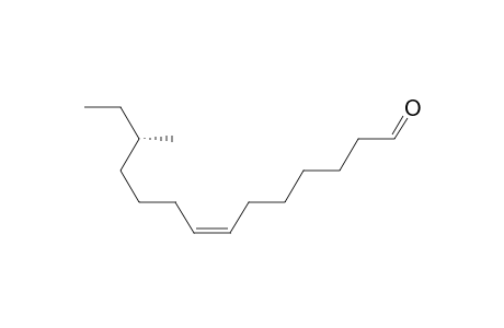 (7Z,12S)-12-Methyltetradec-7-enal