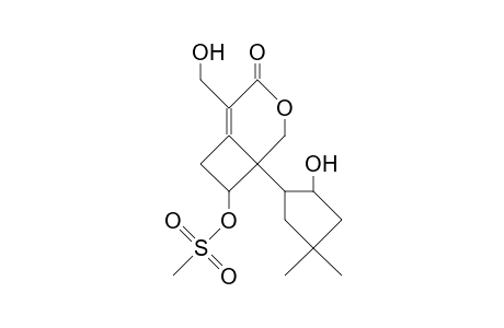 6-(2-Hydroxy-4,4-dimethyl-cyclopentyl)-7-hydroxy-2-hydroxymethyl-4-oxa-bicyclo(4.2.0)oct-1-ene 7-methanesulfonate ester