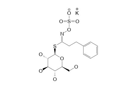 GLUCONASTURTIIN;GST;POTASSIUM-2-PHENYLETHYL-GLUCOSINOLATE