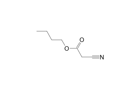 cyanoacetic acid, butyl ester