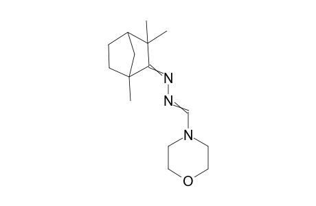 Fenchone N-beta-(Morpholinomethylene)hydrazone