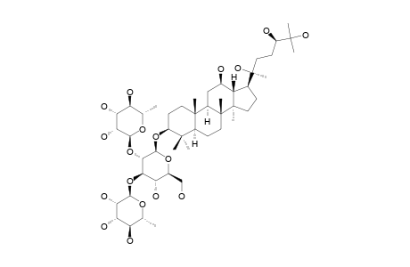 NEOALSOSIDE_I1