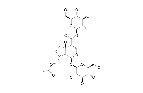 HOOKERIOSIDE