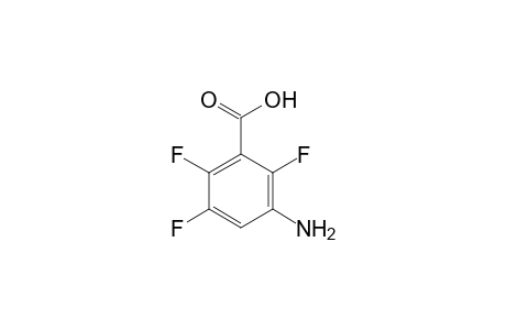 3-Amino-2,5,6-trifluorobenzoic acid