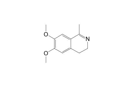 6,7-Dimethoxy-1-methyl-3,4-dihydroisoquinoline