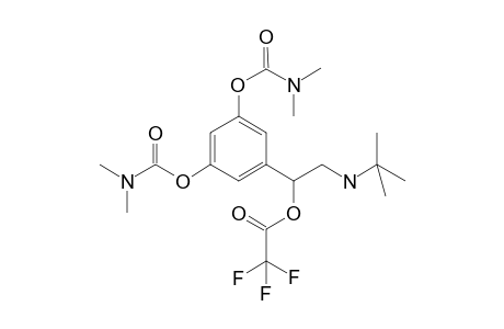 Bambuterol TFA