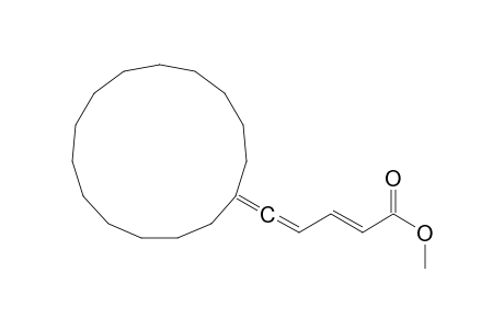 5-Cyclopentadecylidenepenta-2,4-dienoic acid methyl ester