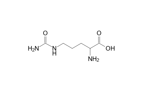 dl-Citrulline