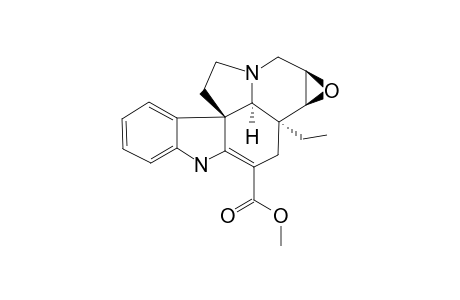 Pachysiphine