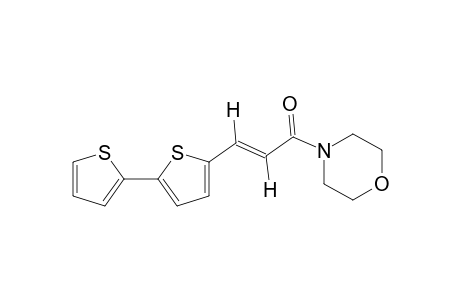 trans-4-{3-[5-(2-thienyl)-2-thienyl]acryloyl}morpholine