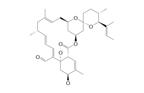 VM54168