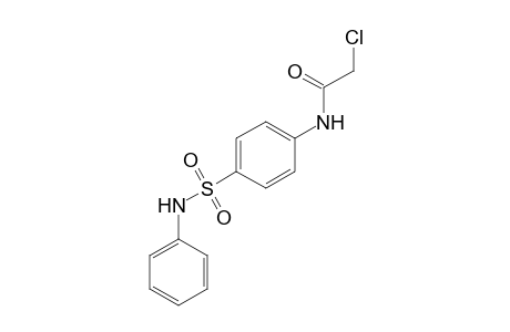 2-chloro-4'-(phenylsulfamoyl)acetanilide