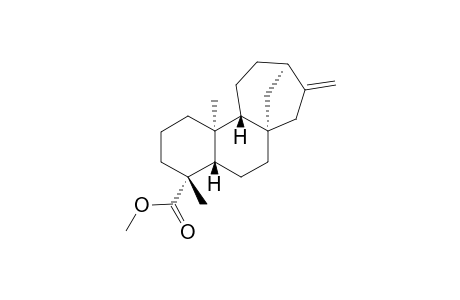 METHYL-ENT-KAUR-16-EN-19-OATE