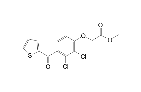 Tienylic acid ME