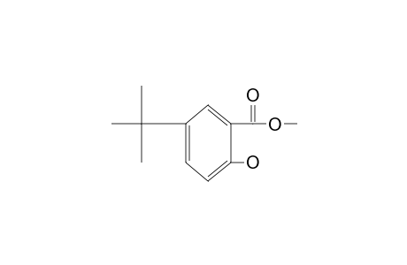 5-tert-butylsalicylic acid, methyl ester