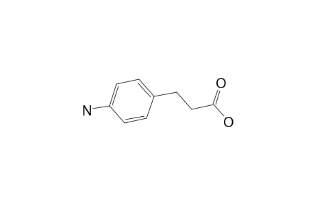 p-aminohydrocinnamic acid