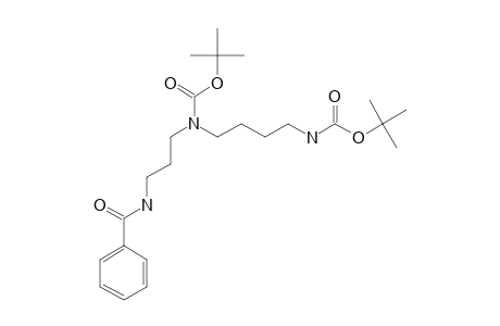 TERT.-BUTYL-N-[3-(BENZAMIDO)-PROPYL]-N-{4-{[(TERT.-BUTYLOXY)-CARBONYL]-AMINO}-BUTYL}-CARBAMATE