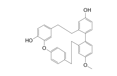 Plagiochins D